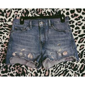 Levi’s Shorts
